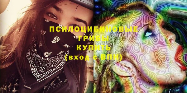 хмурый Карпинск