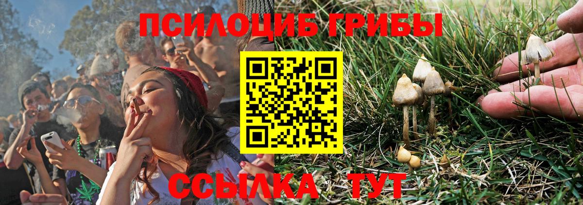 Галлюциногенные грибы GOLDEN TEACHER Кулебаки