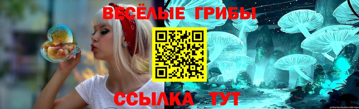 Галлюциногенные грибы Cubensis  Вход с VPN  Кулебаки 
